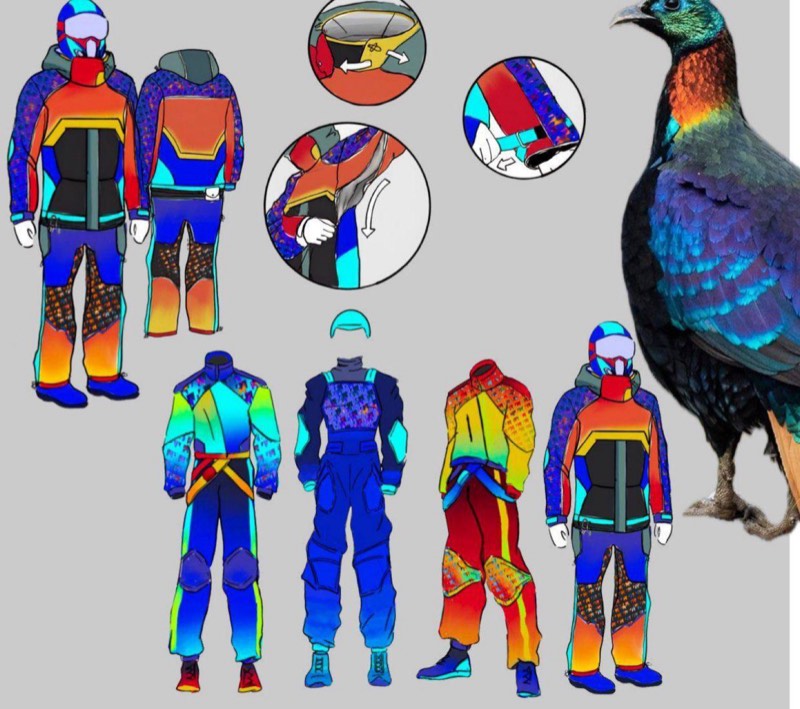 Anatude line-up sketches in iridescent Monal colours, with the bird beside them